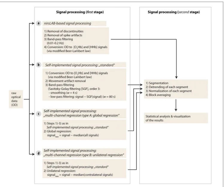 FIGURE 3 | Visualization of the signal processing approaches used in the current study