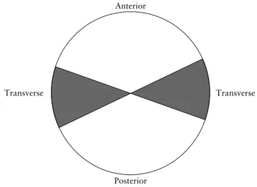 Figure 1 Description of occipital positions.