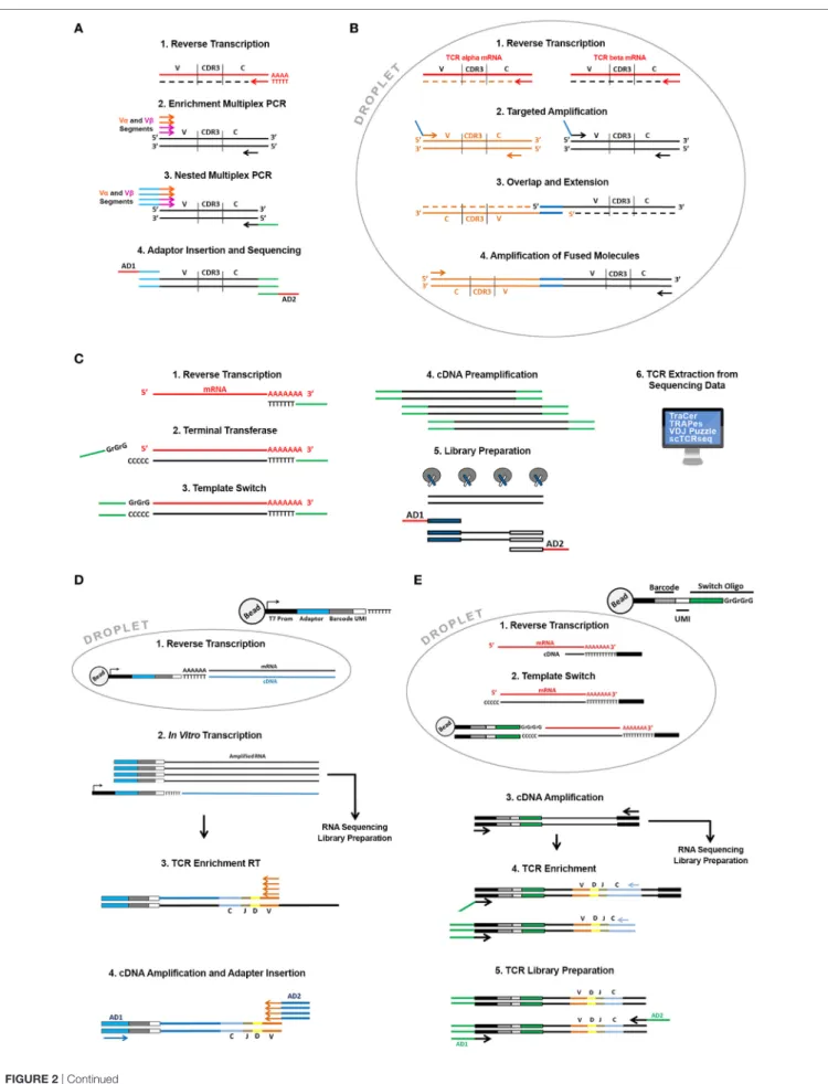 FigURe 2 | Continued