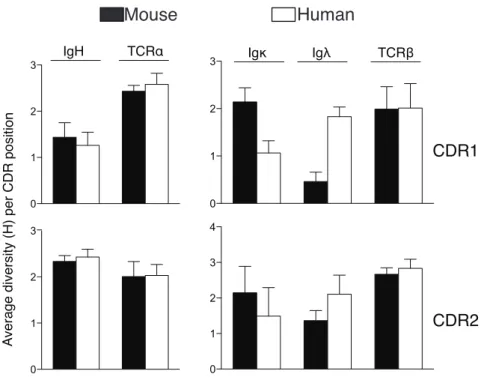 Figure 2. 4: Summary of average amino acid diversity per CDR position in TCR and Ig molecules