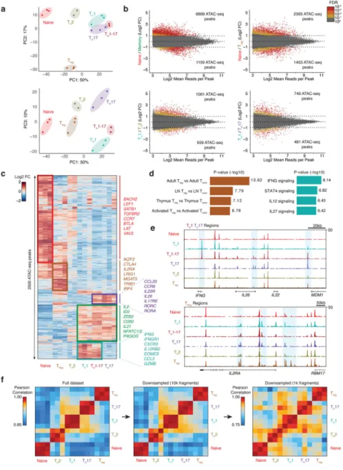 Figure 3. Epigenomic landscape of ensemble human CD4 +  T cell subtypes