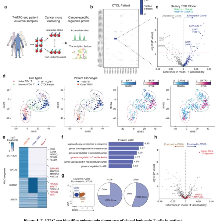 Figure 5. T-ATAC-seq identifies epigenomic signatures of clonal leukemic T cells in patient  samples
