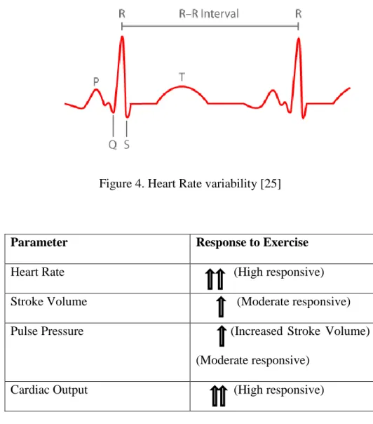 Table 1. Cardiovascular Responses to Exercise 