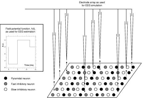 Fig. 3.Setup used for the simulation of field recordings and EEGs.