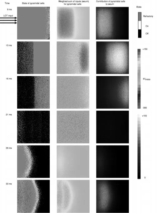 Fig. 7.States, wand pyramidal–pyramidal excitation for pyramidal neurons after weak shock stimulus.