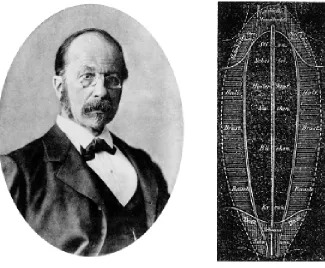 Fig. 1. (Left) Wilhelm His (1831-1904).