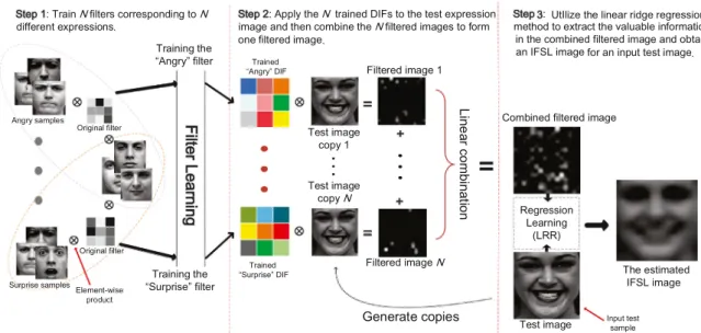 Fig. 1. The framework of the proposed IFSL method. 