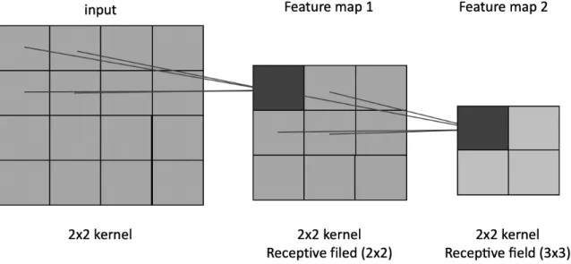 Figure 7.  receptive fields through convolution 