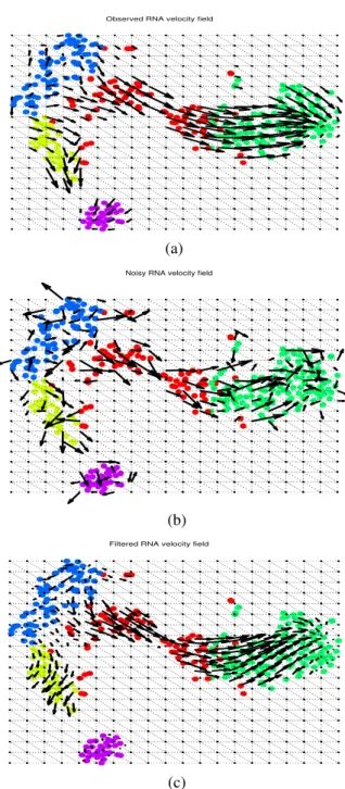 Fig. 3: RNA velocity fields: (a) observed and (b) noisy fields;