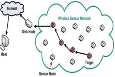 Figure 1:  Wireless Sensor Network 