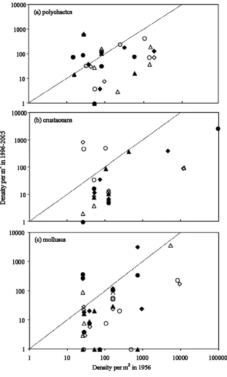 Fig. 2. Benthic abundances in 1956 and 1996-2005 of (a) polychaetes, (b) crustaceans, and (c) molluscs (both axes are log- log-scaled)