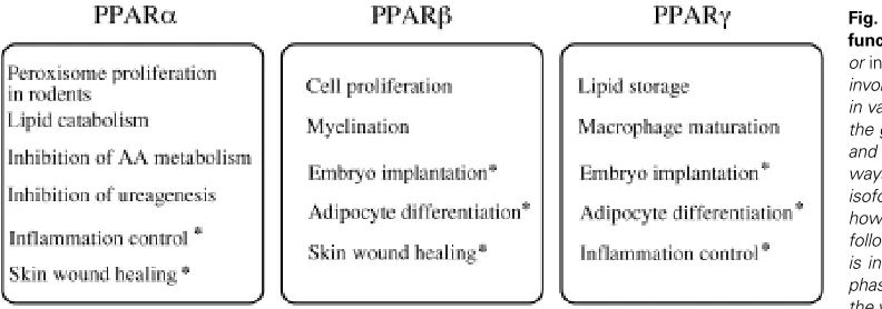 Fig. 3. Summary of the physiological