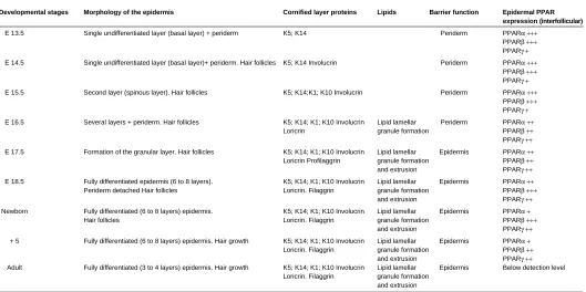 TABLE 1SUMMARY OF THE MORPHOLOGICAL AND BIOCHEMICAL EVENTS OF THE DEVELOPMENT OF THE MOUSE EPIDERMIS