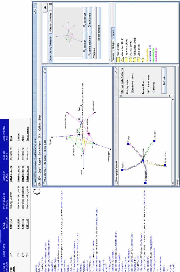 Figure 3 Part A: Result table for PHI-base entry PHI:441; Part B: Excerpt of OXL exported from PHI-base; Part C: Screenshot of OVTK with loaded data  from OXL displaying relationships of PHI:441