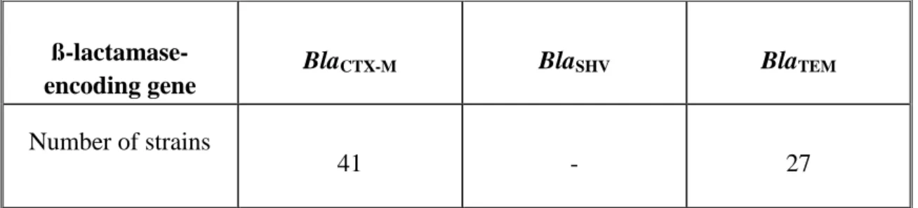 Table 13: Frequency of the different ß-lactamase-encoding genes among E. coli isolates derived  from Giessen University Hospital, Germany