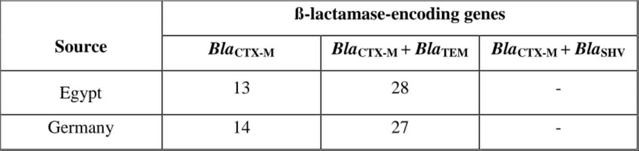 Table  14:  Prevalence  of  ß-lactamase-encoding  genes  among  CTX-M-producing  E.  coli  isolates  derived from Egyptian and German University Hospitals