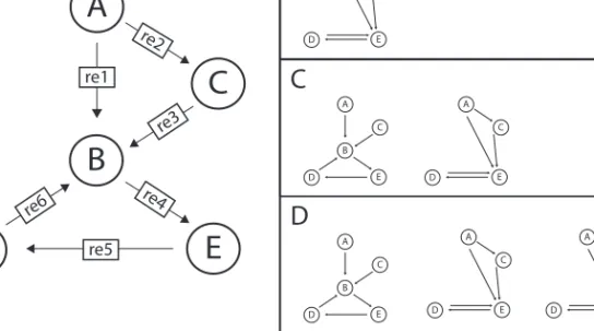 Fig. 3. Logical combinations of alternative models. (A) Master Model from which the alternatives can be generated by ModelMage