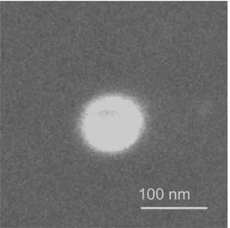Fig. 11.  An example for a single particle (SP) with homogeneouslydistributed pixel intensity across the aerosol particle.1 