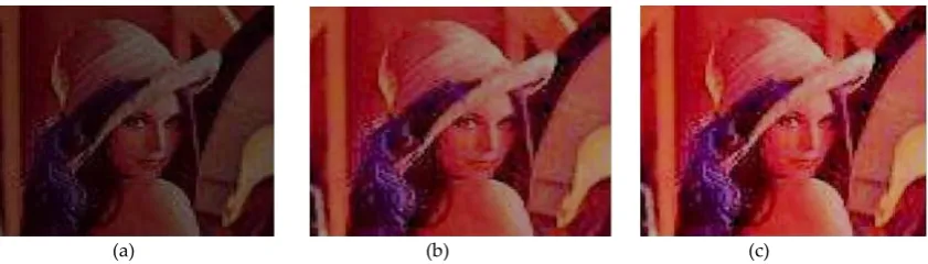 Figure. 3  (a) Original image of “Lena” (b) Enhanced image of “Lena” with the ACO algorithm (c) modified image with the proposed cuckoo optimization algorithm
