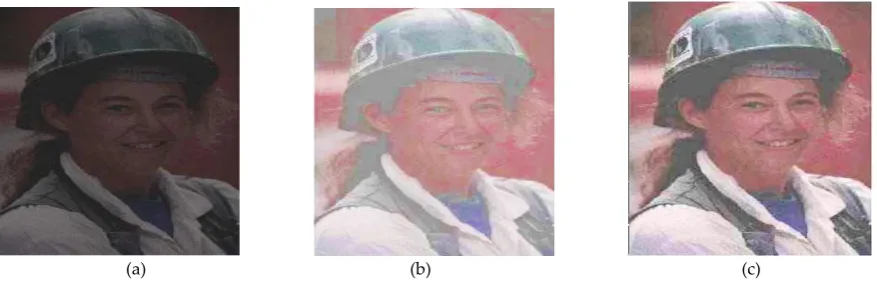 Figure. 6 (a) Original image of “Face” (b) Enhanced image of “Face” with the ACO algorithm (c) modified image with      the proposed cuckoo optimization algorithm