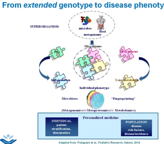 Figure 1. The assignment of extended genotype (gut microbiota) to complement the genomic  reservoir and to fully interpret phenotype profiling