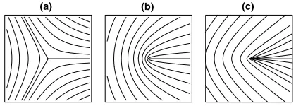 Fig. 3. The patterns around the three types of line singularity:(a) star; (b) lemon; (c) monstar