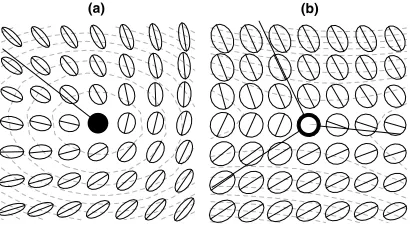 Fig. 4. C points from the random pattern in Fig. 7: (a) ellipticlemon; (b) hyperbolic star