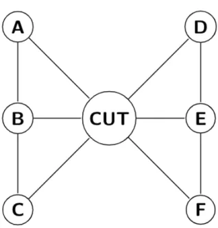 Figure 2.2: A graph divided into two biconnected components by a central cut vertex.