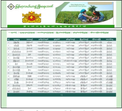 Figure 8.  Borrower Information Page 