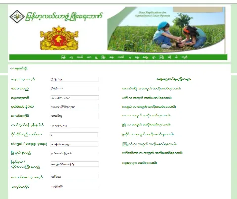 Figure 9. Individual User or Borrower Information Page 