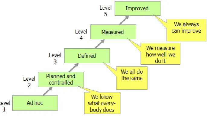 Figure 4: A maturity model with five levels (source: Hedeman, 2007) 
