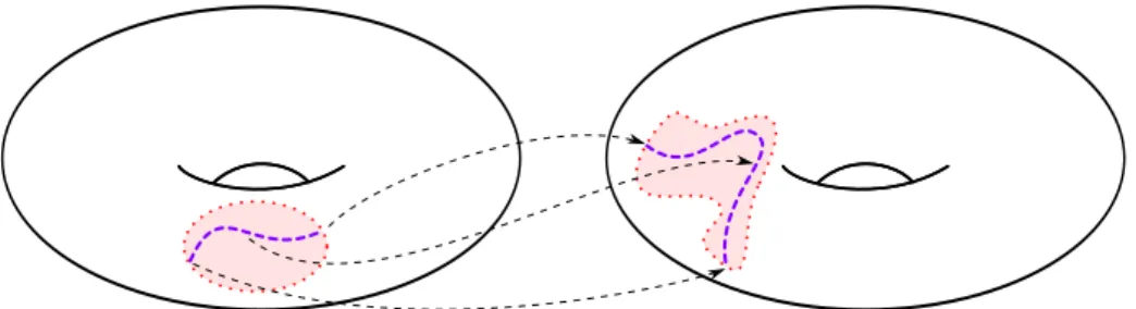 Figure 2.B.1: Locally, elements f ∈ AMG(T 2 ) map points to other points in a continuous fashion