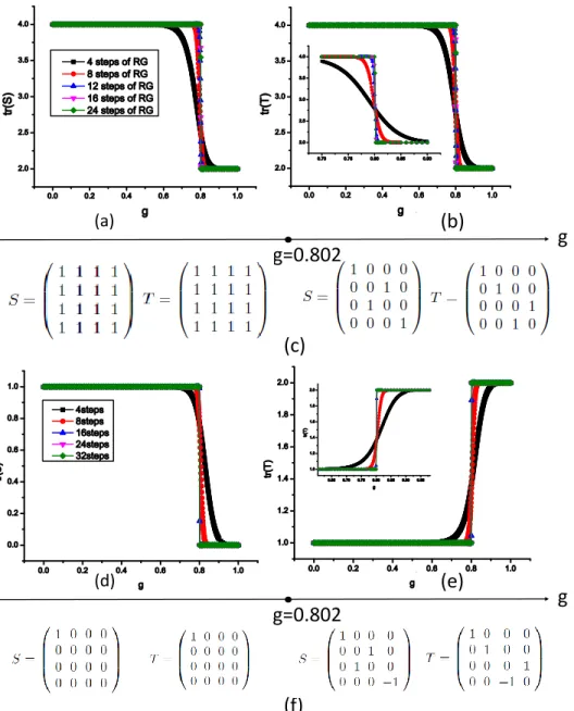 Figure 3.5.1: The trace of modular matrices S and T as functions of g display a very sharp phase transition at critical point g c as increasing RG steps, for both Z 2 and double-semion topological order