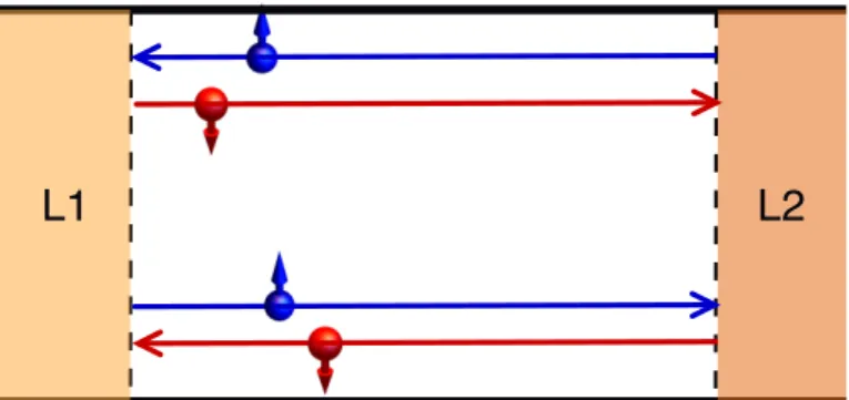 Figure 2.5: A quantum spin Hall insulator in 2D, with external attached leads L1 and L2