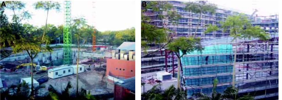 Fig. 2. The Institute of Molecular Biology, Brisbane, under construction. The University of Queensland, Queensland State government and theAustralian government have made a large investment in developmental biology through the construction of the Institute