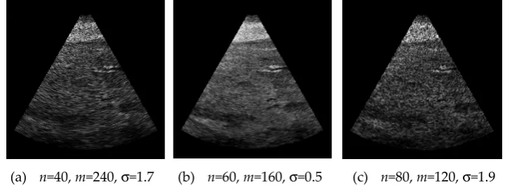 Figure 5. Effect of changing axial resolution (m) in radial-polar sampling. 