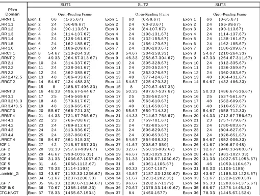 TABLE 2