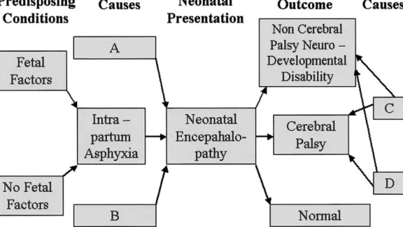 Fig 2. Schematic diagram illustrating relationships between fetal status, intrapartum asphyxia, neonatal encephalopathy, and eventual outcome.