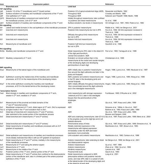 TABLE 2GENES THAT ARE EXPRESSED IN BOTH THE BRANCHIAL ARCH AND THE LIMB BUD DURING MORPHOGENESIS