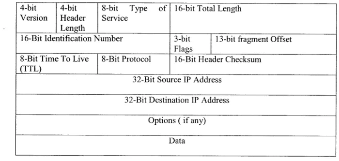 Figure 2.2: The IP header