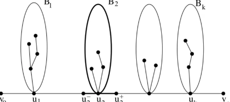 Figure 8: A path with branches.
