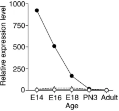 Fig. 3. A graphic illustration of the levels of TGF-βwere normalised relative to the quantities of GAPDH mRNA