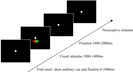 Figure 1. An example of a trial. The visual stimulus indicated which side to attend.