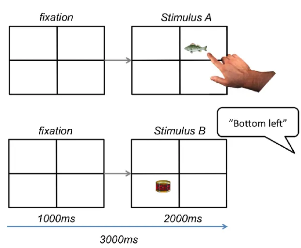 Figure 1. Example of both types of stimulus-response pairs in the encoding phase. In this example, locations of  natural pictures (stimulus A) had to be pointed at and that of artificial pictures (stimulus B) named