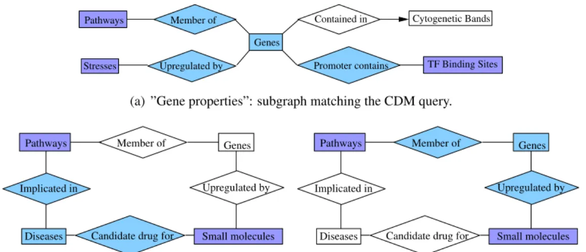 Figure 9: Subgraphs matching CDM queries.