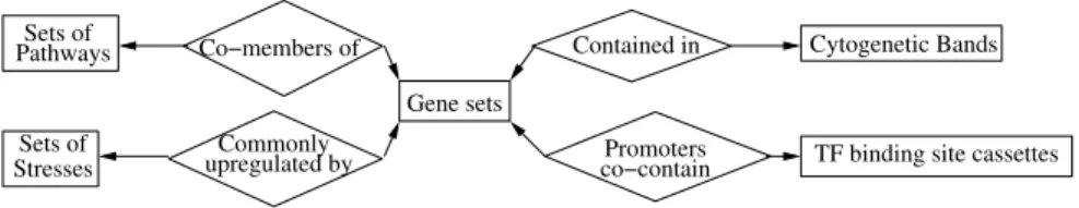 Figure 6: “Gene properties”: CDM schema.