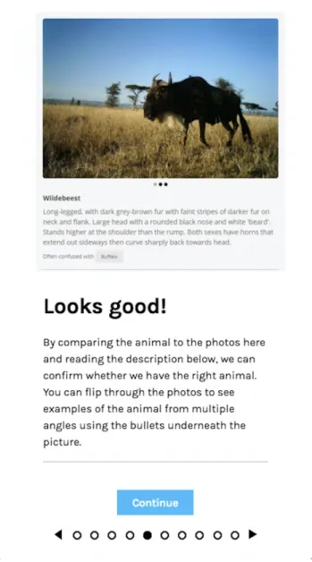 Figure 1. A tutorial page from a Snapshot Safari project that describes navigation between multiple