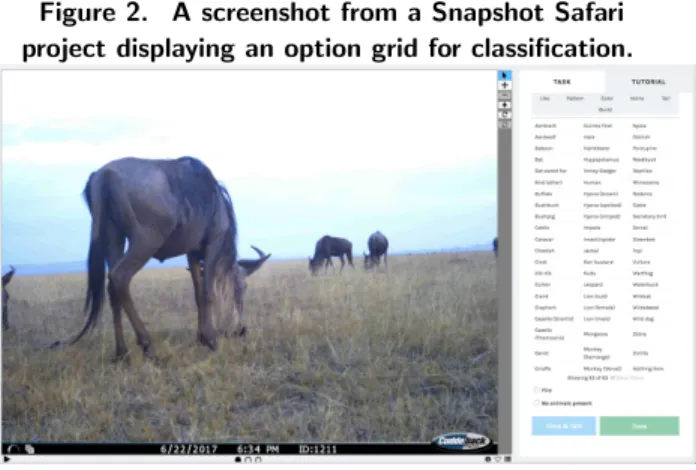 Figure 2. A screenshot from a Snapshot Safari project displaying an option grid for classification.