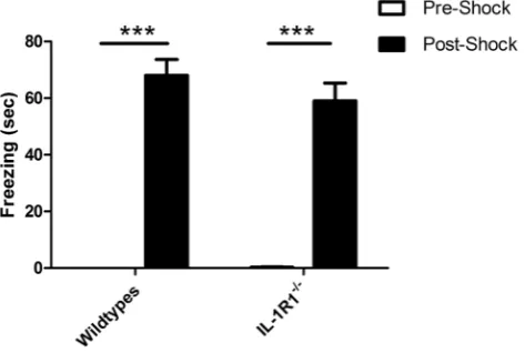 Figure 1. Performance of IL-1R12(b) Working memory was assessed in 1L-1R1representing performance of mice on days 1–4, block 2 the performance of mice on days 5–8 and block 3 the performance of mice on days 9–12.Data are shown as meanwithin subjects factor