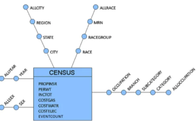 Figure 1: IPUMS multidimensional schema